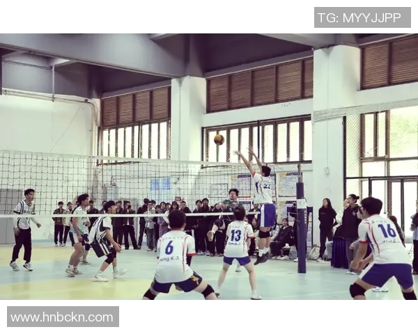 成都排球队精英赛之路:拼搏与荣耀交织的奋斗历程 成都排球队精英赛之路:拼搏与荣耀交织的奋斗历程